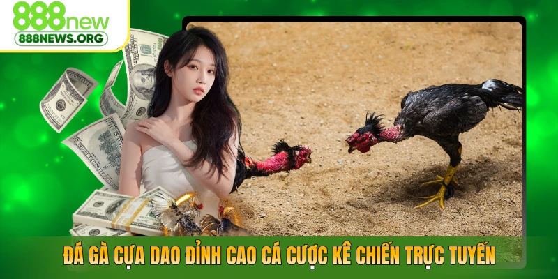 Đá Gà Cựa Dao – Đỉnh Cao Cá Cược Kê Chiến Trực Tuyến