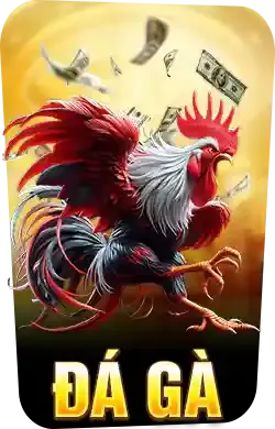 đ&aacute; g&agrave;