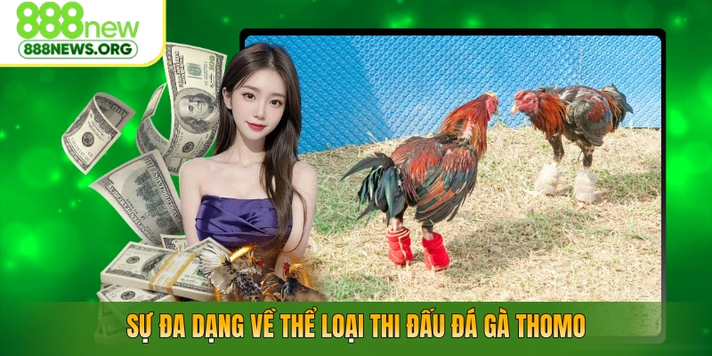 Sự đa dạng về thể loại thi đấu đá gà Thomo