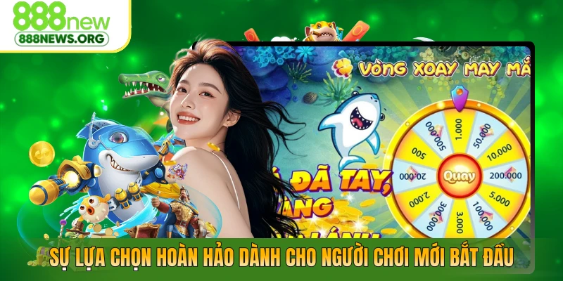 Sự lựa chọn hoàn hảo dành cho người chơi mới bắt đầu